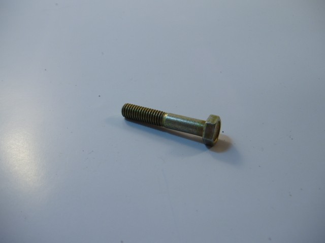 Болт М 6*30 успок. цепи,крепл.маслонасоса для ВАЗ