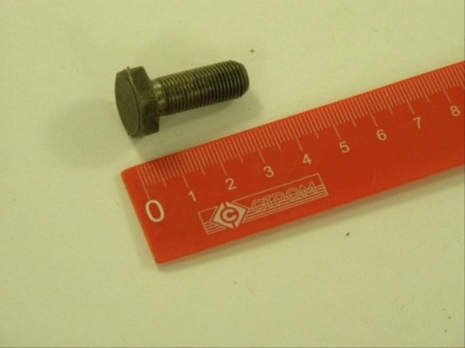 Болт 2101 маховика самоблокир. М10*1,25*23,5 /М2141,Ока,2123,Таврия/
