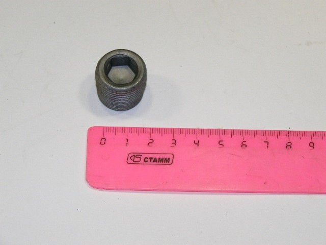 Пробка сливная поддона и КПП 2101-2110 под шестигран. магнитная